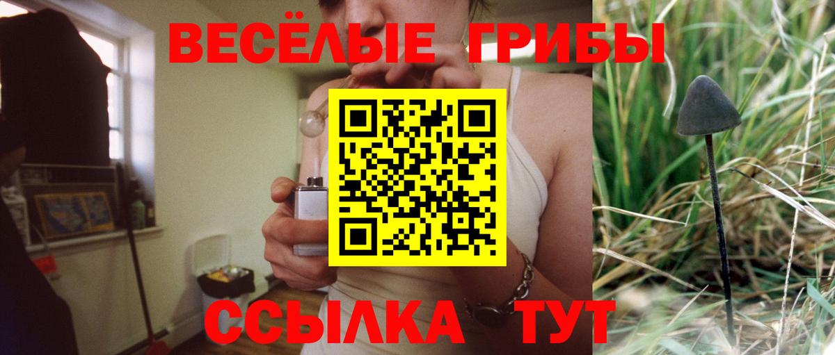 Каменск-Уральский  Галлюциногенные грибы Psilocybine cubensis  Вход с VPN  где купить наркотик  Псилоцибиновые грибы прущие грибы 